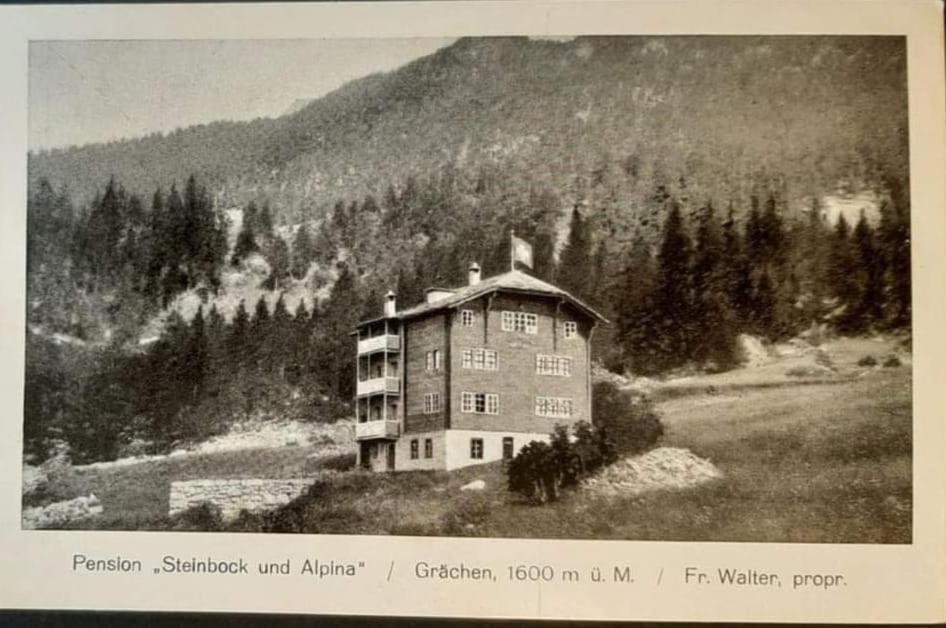Hotel Alpina グレヘン エクステリア 写真